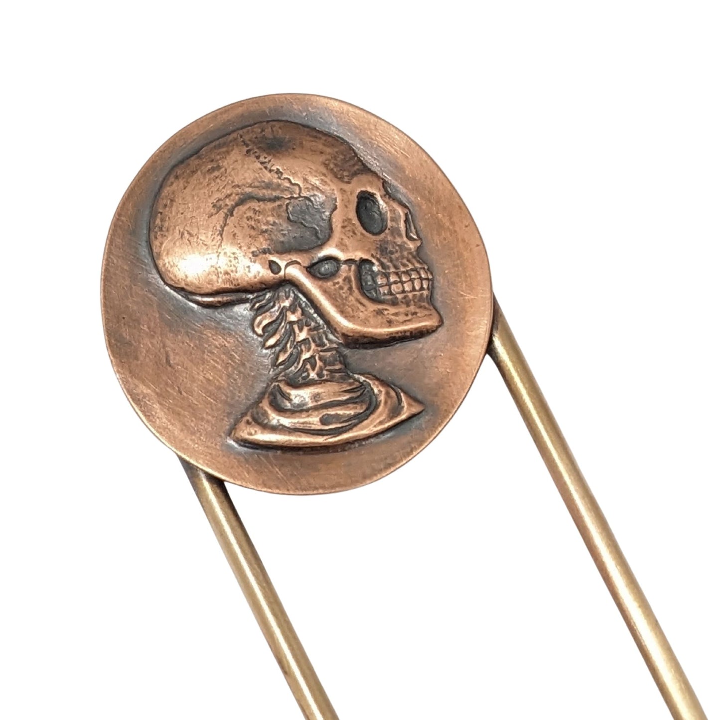 Raised image of a deeply detailed skull, including neck spine, on a round disk made of copper. The design is on a brass hair fork.